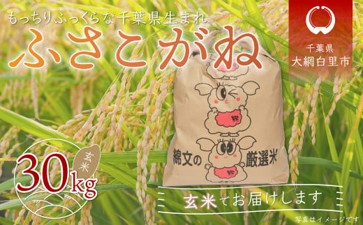 令和5年産 千葉県産エコ米「コシヒカリ」玄米30kg（30kg×1袋 
