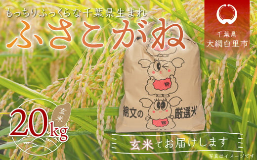 令和5年産 千葉県産「ふさこがね」玄米20kg（20kg×1袋） お米 20kg 千葉県産 大網白里市 ふさこがね 米 玄米 こめ 送料無料 851919 - 千葉県大網白里市