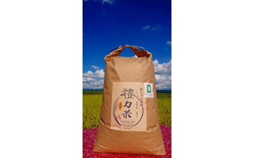 體力米（たいりょくまい）コシヒカリ玄米10kg 699334 - 栃木県大田原市