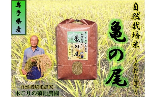 木こりの菊池農園 自然栽培米【亀の尾】(白米・玄米)5kg - 岩手県北