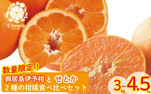 [先行予約・2025年2月上旬から発送]興居島伊予柑とせとか 2種の柑橘食べ比べセット 優品以上 みかん 柑橘 みかん フルーツ みかん 食べ比べ ミカン みかん 蜜柑 柑橘 果物 くだもの フルーツ グルメ 愛媛県 松山市