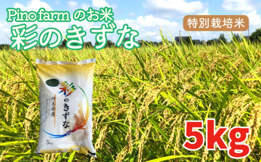 彩のきずな 5kg 令和5年 2023年 特別栽培米 pino farm ブランド米 お米 おこめ 642488 - 埼玉県羽生市