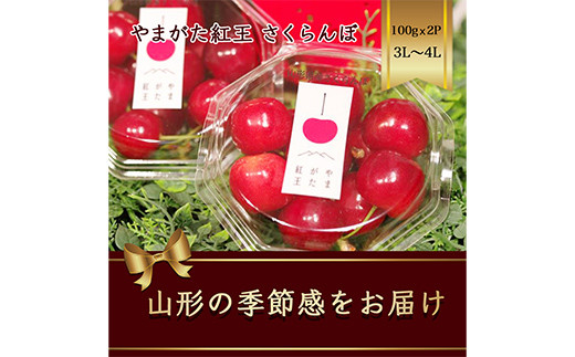 やまがた紅王 さくらんぼ 3L～4L100g×2パック入 【2024年6月から発送】 FSY-1165