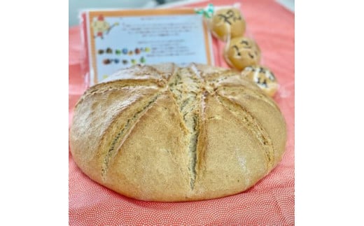 3種から選べる一升サイズのドイツパン 1202022 - 埼玉県宮代町