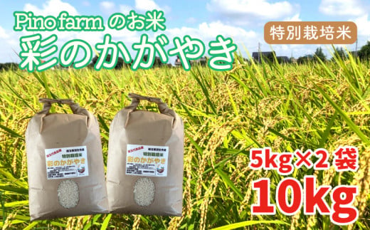 彩のかがやき 10kg 令和5年 2023年 特別栽培米 pino farm ブランド米 お米 おこめ 526061 - 埼玉県羽生市