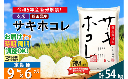 秋田県仙北産 米 あきたこまち 令和5年産 予約開始 仙北市産 パック