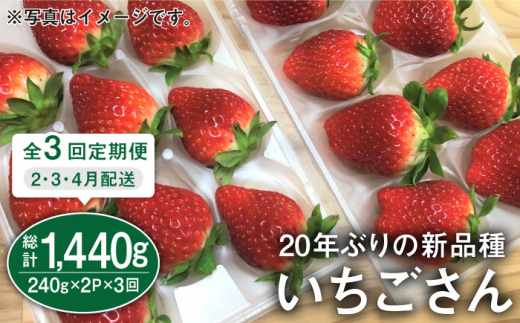 佐賀県白石町のふるさと納税［（佐賀県 白石町）］返礼品一覧（1ページ