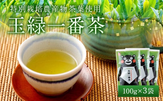 緑茶 お茶 茶葉 100g×3袋 くまモン 玉緑一番茶100g×3袋セット 1126788 - 熊本県宇城市