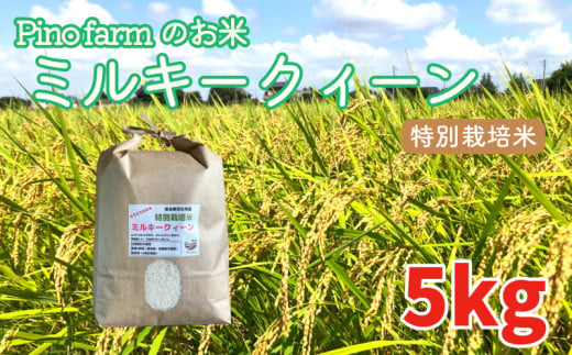 ミルキークイーン 5kg 令和6年 2024年 特別栽培米 pino farm ブランド米 お米 おこめ 642486 - 埼玉県羽生市