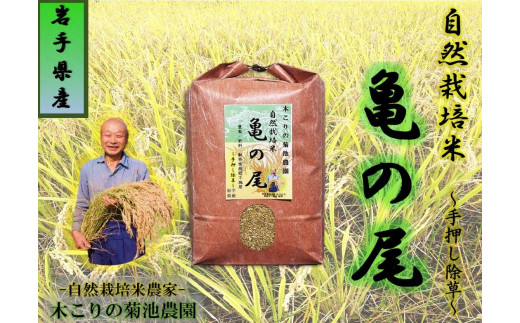 木こりの菊池農園 自然栽培米[亀の尾]玄米5kg