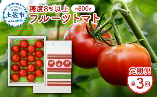 【定期便・全3回】 フルーツトマト （約800g）一箱12～20玉 先行予約 トマト 定期便 3ヶ月 とまと ふるーつとまと トマト とまと tomato 糖度8度以上 美味しい 甘い 野菜 サラダ