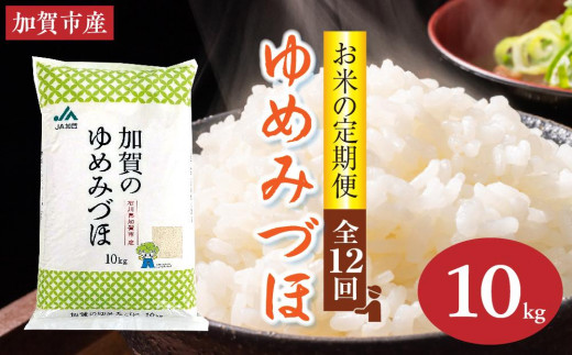 お米の定期便・全12回】石川県加賀市産 ゆめみづほ精米10kg(令和5年産