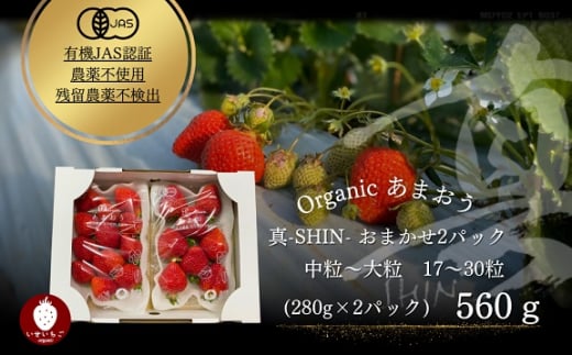 福岡県宗像市のふるさと納税 オーガニックあまおう「いせいちご」2パック(280g×2)【伊世いちご畑】_HA1116