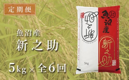 新潟県津南町のふるさと納税 【定期便】中魚沼産「新之助(しんのすけ)」5kg×全6回＜令和5年産＞