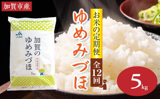 お米の定期便・全12回】石川県加賀市産 ゆめみづほ精米5kg(令和5年産