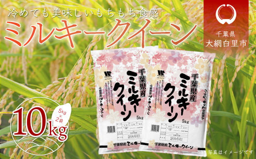 新米】令和5年産 千葉県産「ミルキークイーン」10kg（5kg×2袋） お米