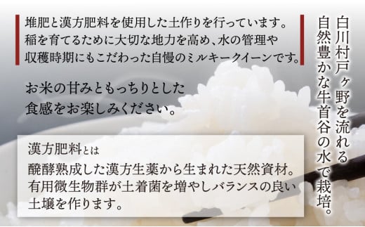 岐阜県白川村のふるさと納税 【先行予約】白川郷 戸ヶ野のミルキークイーン 5kg 令和6年産 [S585]