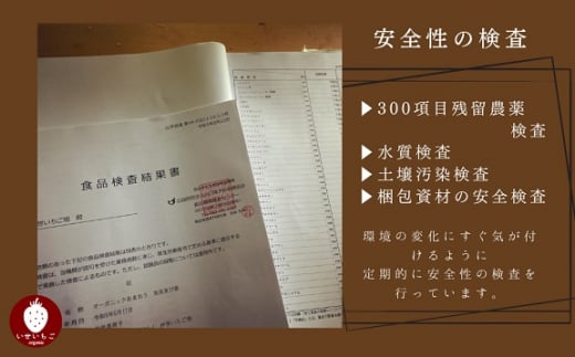 福岡県宗像市のふるさと納税 オーガニックあまおう「いせいちご」2パック(280g×2)【伊世いちご畑】_HA1116