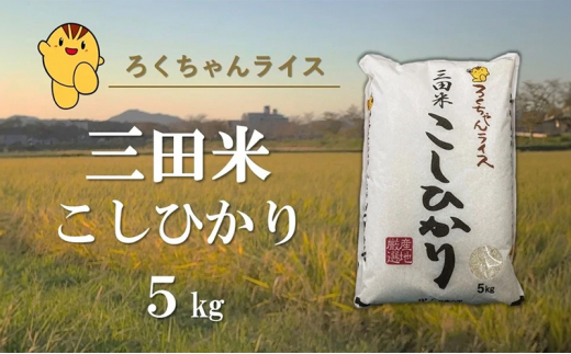 令和5年度産】三田米コシヒカリ５kg [№5337-0192] - 兵庫県三田市