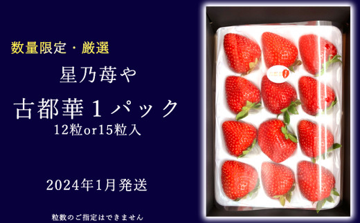 【古都華】1パック 2024年1月発送 オリジナル贈答用箱入り // いちご イチゴ 古都華 奈良 奈良県