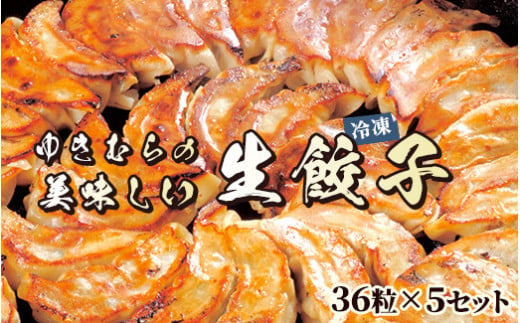 ゆきむらの美味しい生餃子(冷凍)　36粒×5セット 852404 - 茨城県土浦市