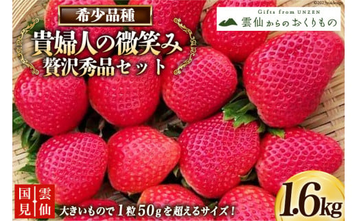 【期間限定発送】いちご 雲仙くにみ苺 貴婦人の微笑み 贅沢秀品セット200g×8p 計1.6kg [国見園芸出荷組合 長崎県 雲仙市 item1717] イチゴ 苺 果物 フルーツ 完熟 ストロベリー 長崎県産 季節限定