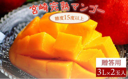AE-CD3 糖度15度以上の宮崎完熟マンゴー(3L×2玉入・贈答用) ＜ギフト用＞【やました農園】