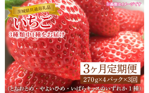 [3ヶ月定期便][1月中旬〜3月中旬発送][先行予約][茨城県共通返礼品]いちご(とちおとめ・やよいひめ・いばらキッスのいずれか1種)270g×4パック(KCM-24)