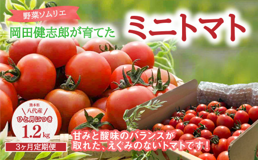 【定期便3回】 野菜ソムリエ岡田健志郎が育てた ミニトマト1.2kg