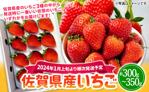 いちごさん」のふるさと納税 お礼の品一覧【ふるさとチョイス】 5ページ目