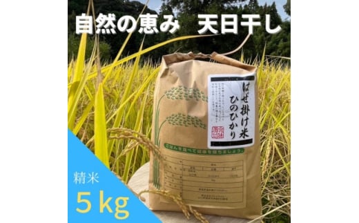 昔ながらの自然乾燥　“はぜ掛け米”　令和5年産  一等米ひのひかり 5kg【1354255】 1229690 - 山口県柳井市