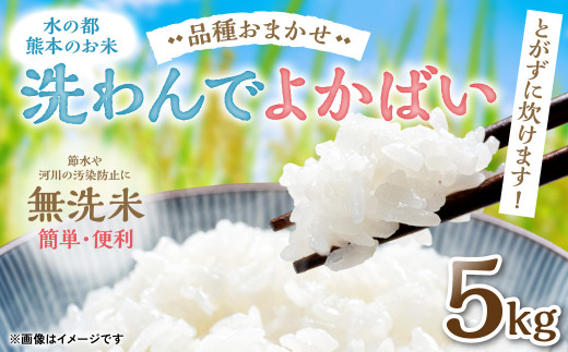 水の都熊本のお米 とがずに炊けます! 簡単・便利 無洗米 洗わんでよかばい5kg×1袋 令和5年産 精米 白米