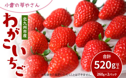 小倉の苺やさん「わがこいちご」 計520g (260g×2パック) 