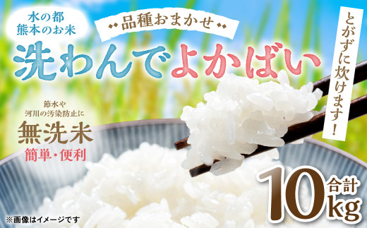 水の都熊本のお米 とがずに炊けます! 簡単・便利 無洗米 洗わんでよかばい5kg×2袋 計10kg 令和5年産 精米 白米