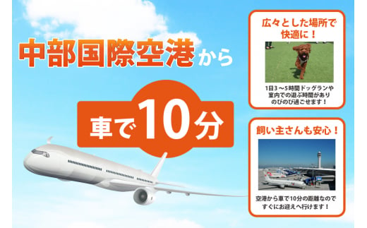 海を一望できるドッグラン 利用チケット】ホテル スタンダード1泊2日 - 愛知県常滑市｜ふるさとチョイス - ふるさと納税サイト