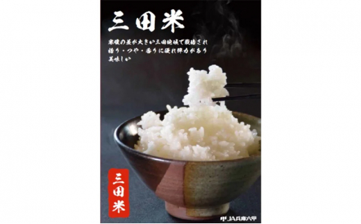 【令和5年度産】三田米コシヒカリ５kg [№5337-0192]