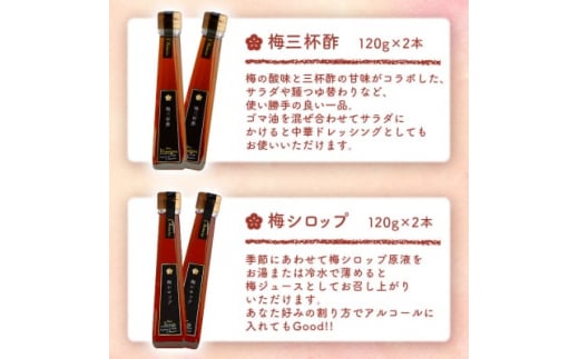 梅加工品6品セット～枕崎からの贈り物～ジャム*梅干し*ドレッシング*三杯酢*練梅*シロップAA-97【1166525】