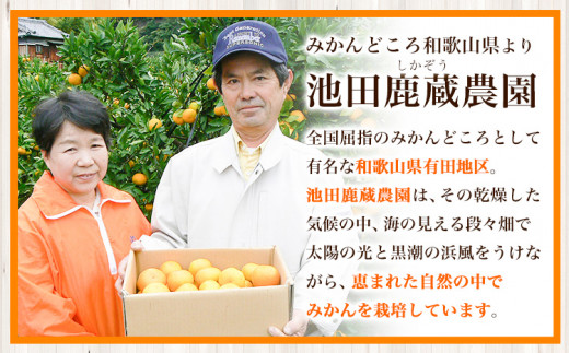 和歌山県日高町のふるさと納税 【先行予約】 厳選 せとか 約 800g+24g （傷み補償分）【柑橘・春みかんの王様】【光センサー選果・食べ頃出荷】池田鹿蔵農園 @日高町 《2月上旬-4月中旬頃出荷》和歌山県 日高町 厳選せとか セトカ ミカン 柑橘 柑橘類 くだもの 果物 フルーツ 送料無料【配送不可地域あり】