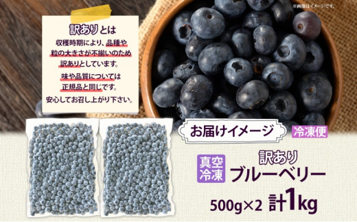 北海道産 完熟ブルーベリー 無農薬 1.7kg 送料込 フルーツ ふるさと 果物