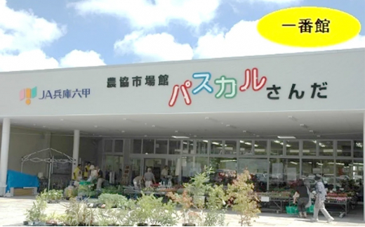 【令和5年度産】三田米コシヒカリ５kg [№5337-0192]