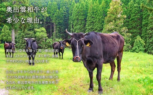 子牛から成牛まで一貫して育て上げる飼育法は、飼育頭数が限られるため、奥出雲和牛の生産数を希少なものとしています。