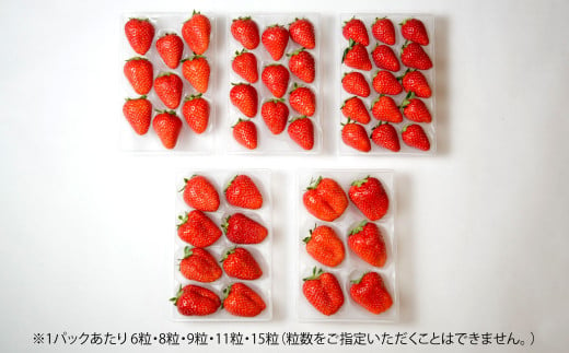 小倉の苺やさん「わがこいちご」 計520g (260g×2パック) 