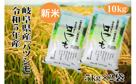 令和5年岐阜県産「ハツシモ」　10Kg（5kg×2袋）