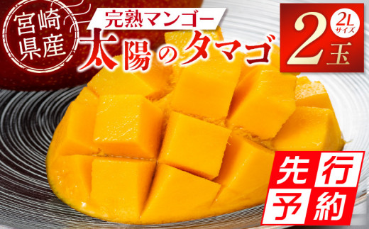 宮崎特産品 宮崎県産完熟マンゴー 太陽のタマゴ 2L×2個_M275-004