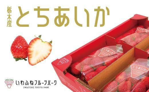 栃木市岩舟産とちあいか【フルーツ 果物 くだもの 食品 人気 おすすめ 送料無料】 1131380 - 栃木県栃木市