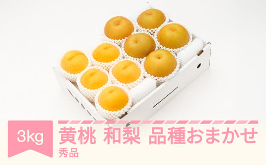 有袋黄桃 秀品＆和梨 品種おまかせ 詰め合わせ 約3kg 令和6年産 2024年産 果物 ns-fsonx3