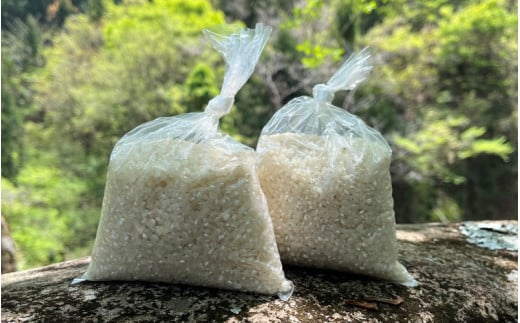 香米　1.2kg（300g×4袋） / 田辺市 お米 米 ご飯 香  925107 - 和歌山県田辺市