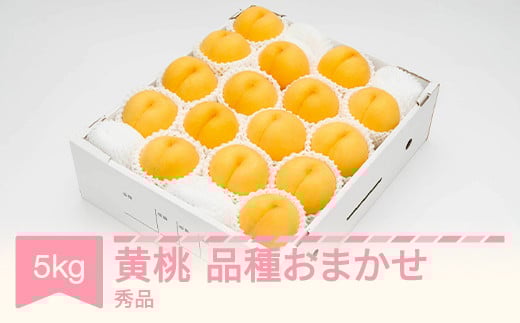 有袋黄桃 秀品 品種おまかせ 化粧箱入り 約5kg 令和7年産 2025年産 山形県産 果物 送料無料 ※沖縄・離島への配送不可 ns-mootx5