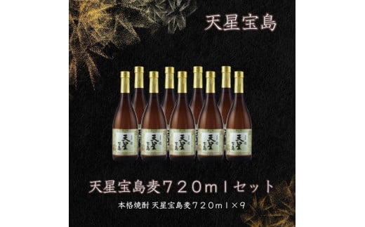 天星宝島麦720ml×9本セット