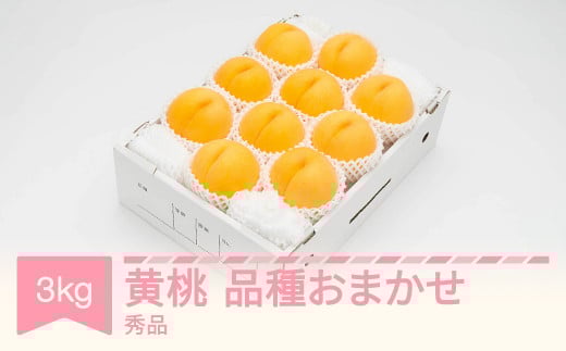 有袋黄桃 秀品 品種おまかせ 化粧箱入り 約3kg 令和7年産 2025年産 山形県産 果物 送料無料 ※沖縄・離島への配送不可 ns-mootx3 1132539 - 山形県村山市
